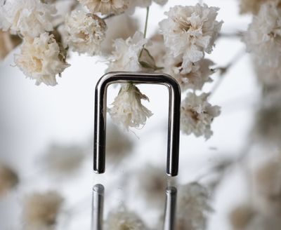 Titanium Septum Retainer