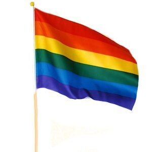 Rainbow, Håndholdt flagg