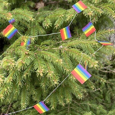 Juletreregnbueflagg