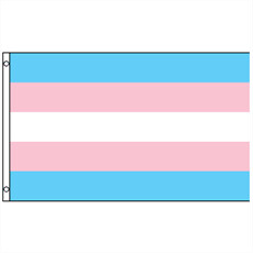 Transgender flagg, medium