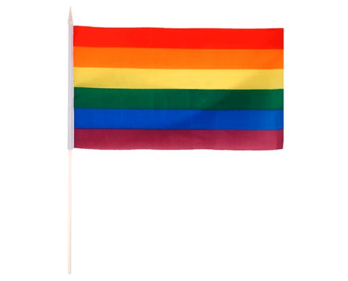 Håndholdt flagg , regnbue lite