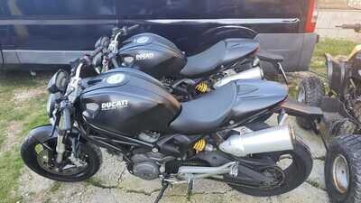 DUCATI MONSTER