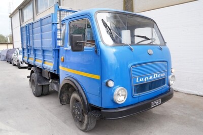 OM LUPETTO BLU