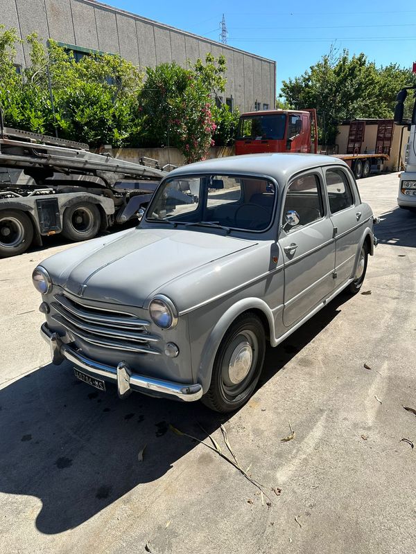 FIAT 1100 GRIGIO