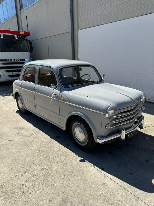 FIAT 1100 GRIGIO