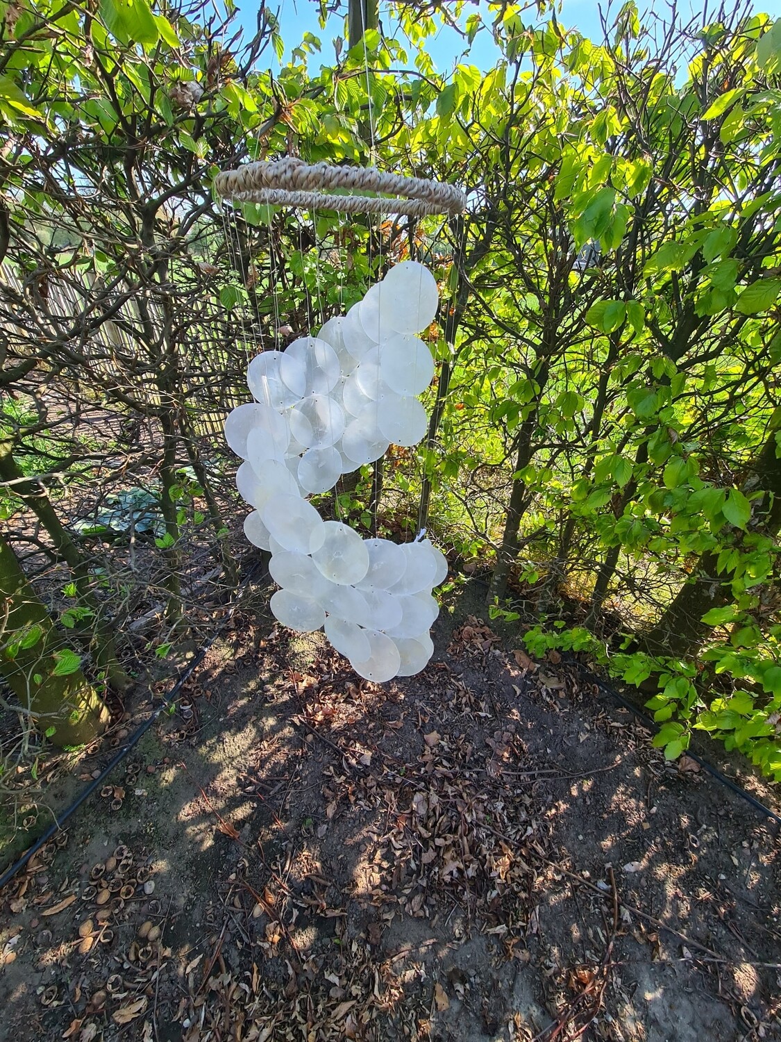 Schelpenhanger/windvanger