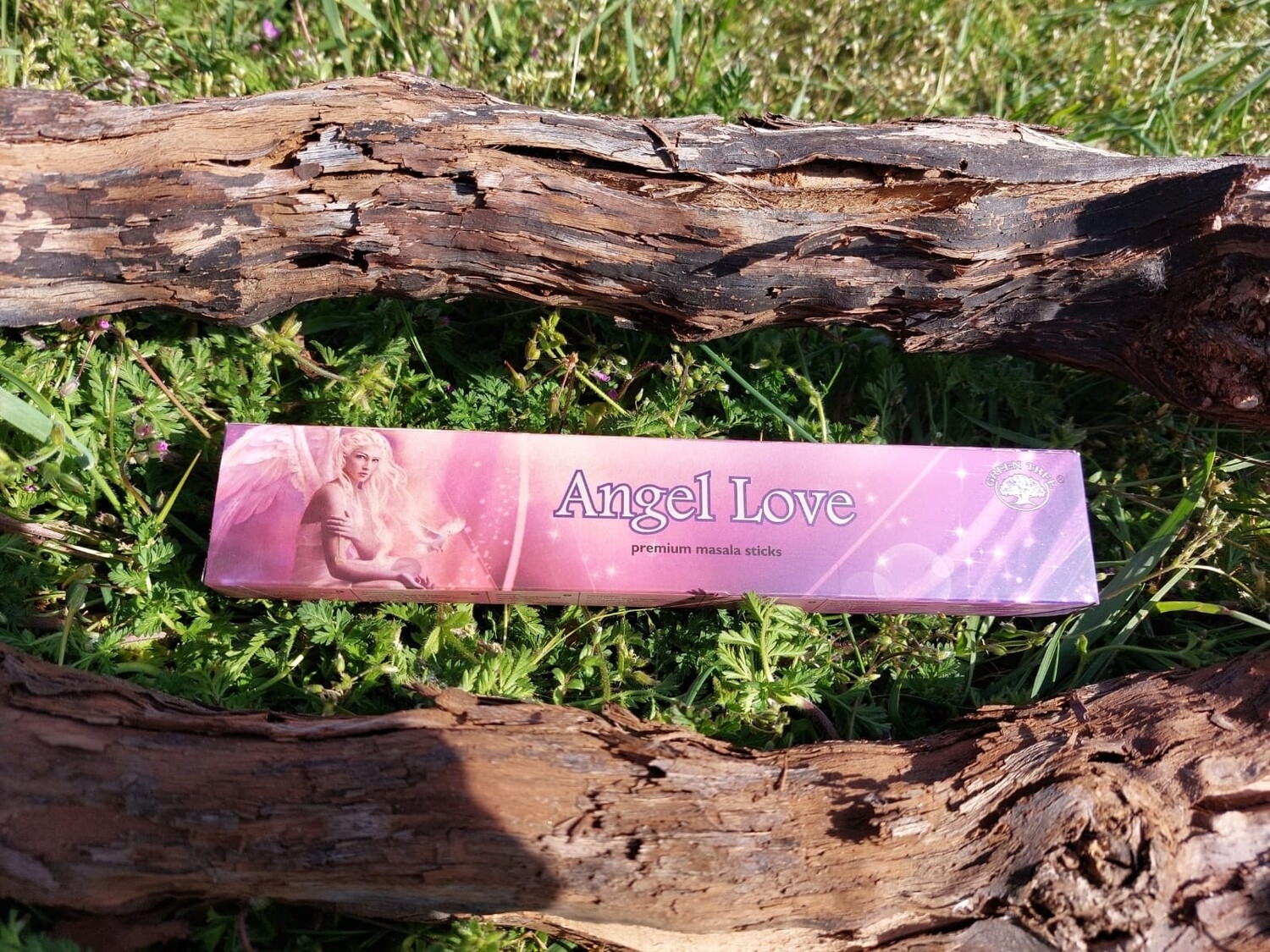 Angel Love