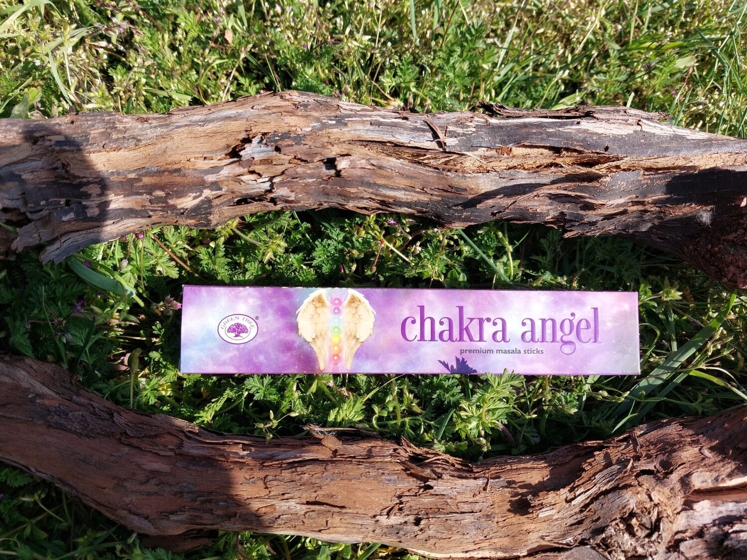 Chakra Angel