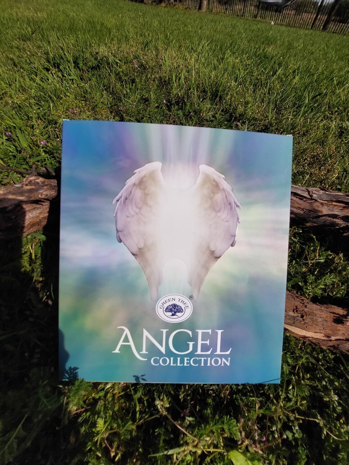 Set Angel Collection