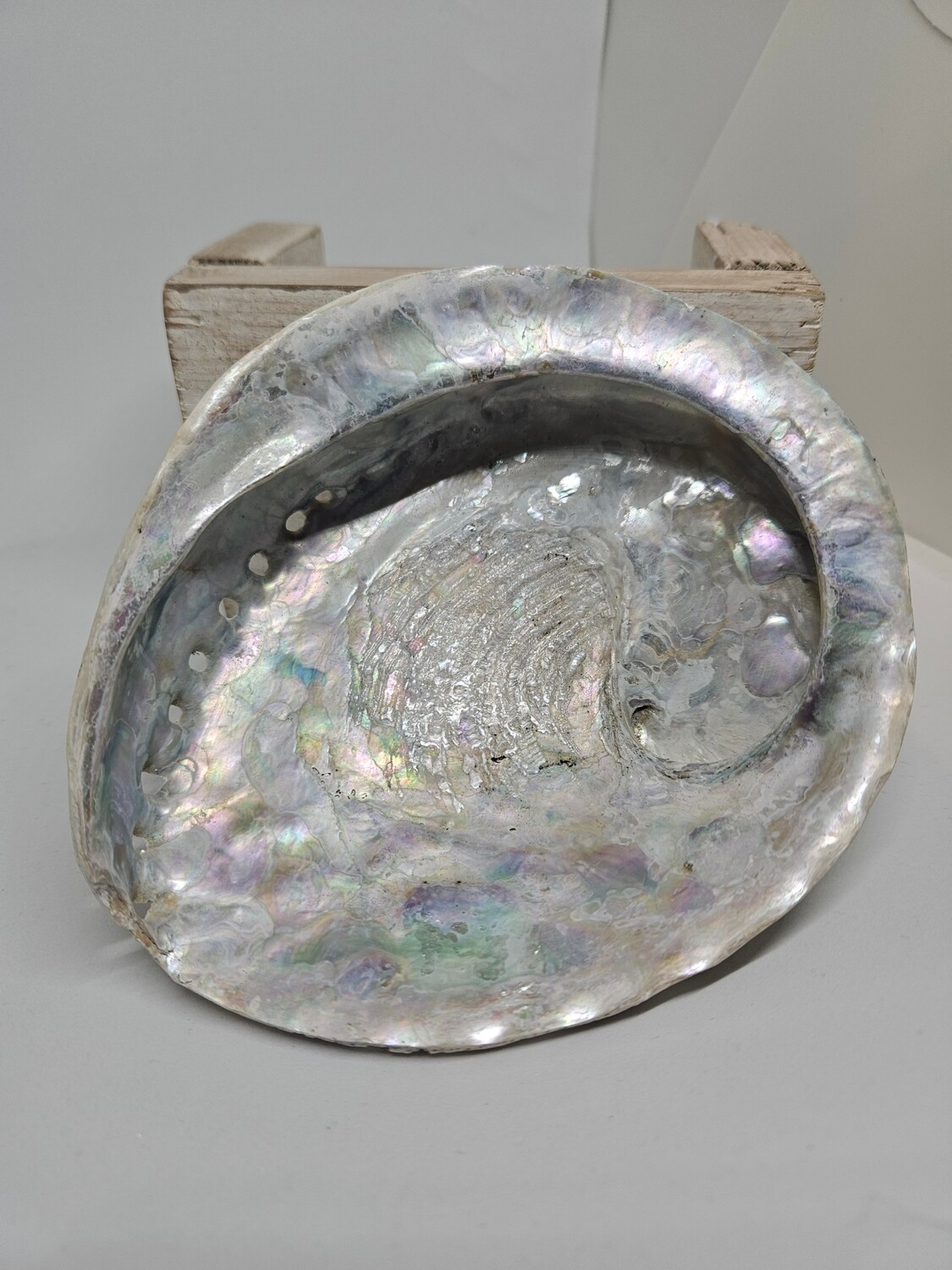 Abaloneschelp groot om te smudgen