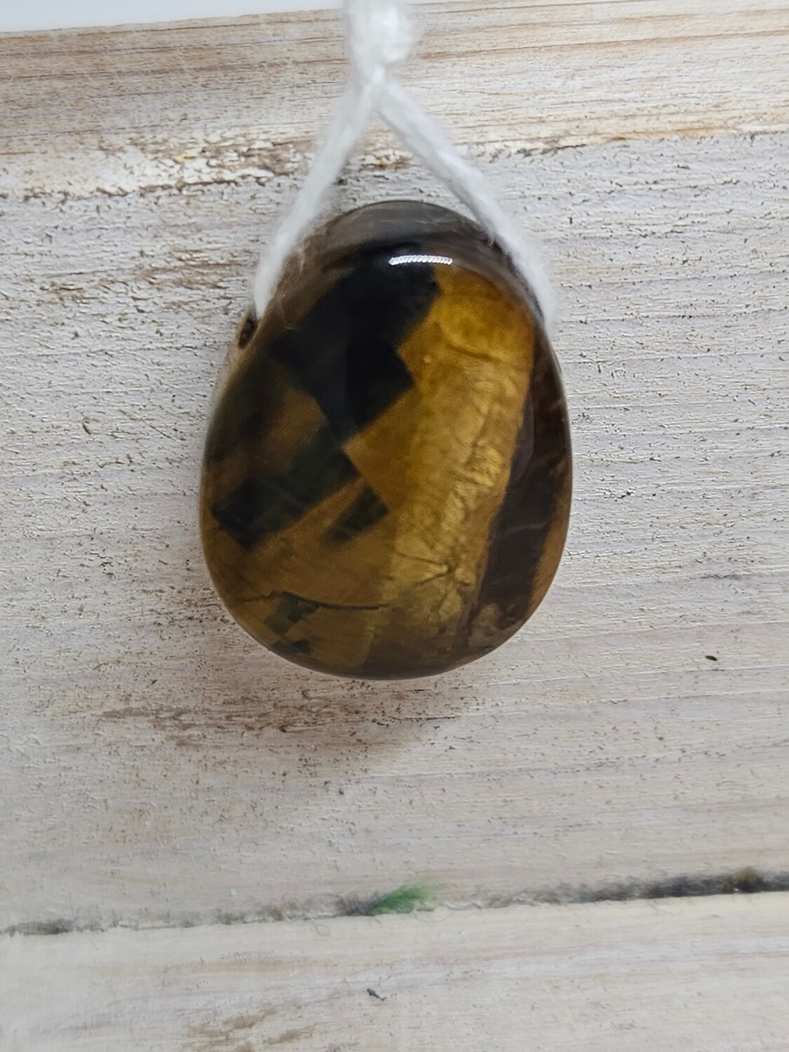 Hanger Tijgeroog, Soorten: 1