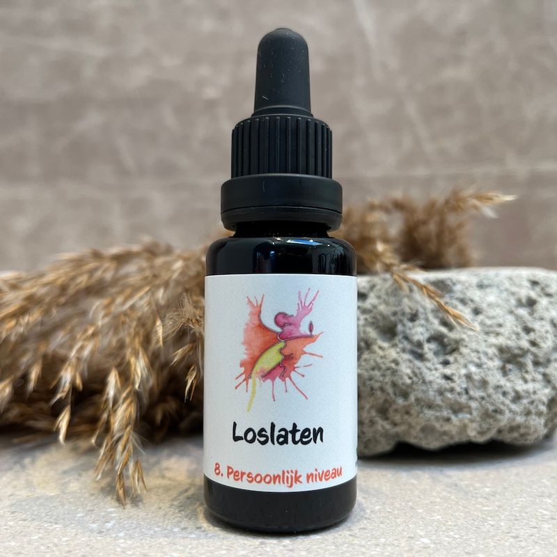 08. Loslaten remedie