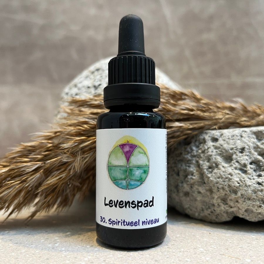 30. Levenspad remedie