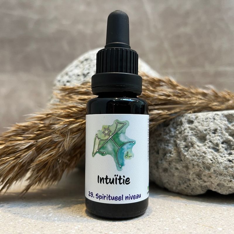 29. Intuïtie remedie