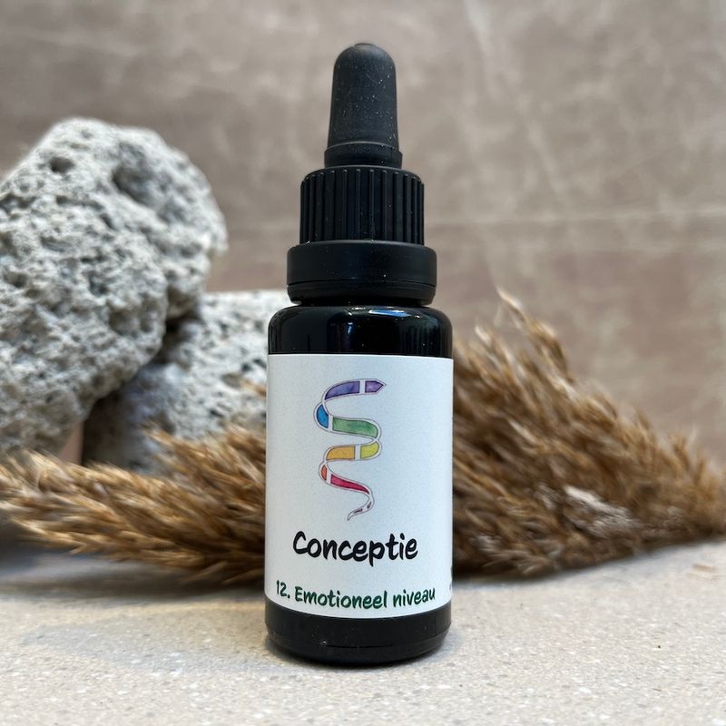 12. Conceptie remedie