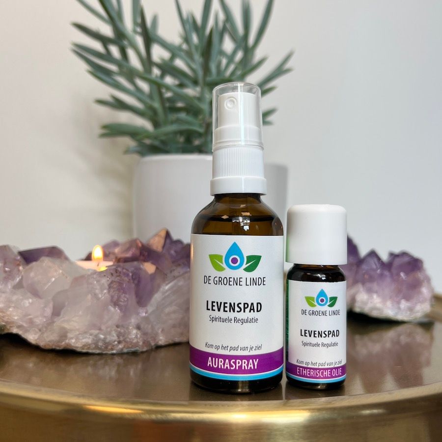 Levenspad, Spirituele Regulatie