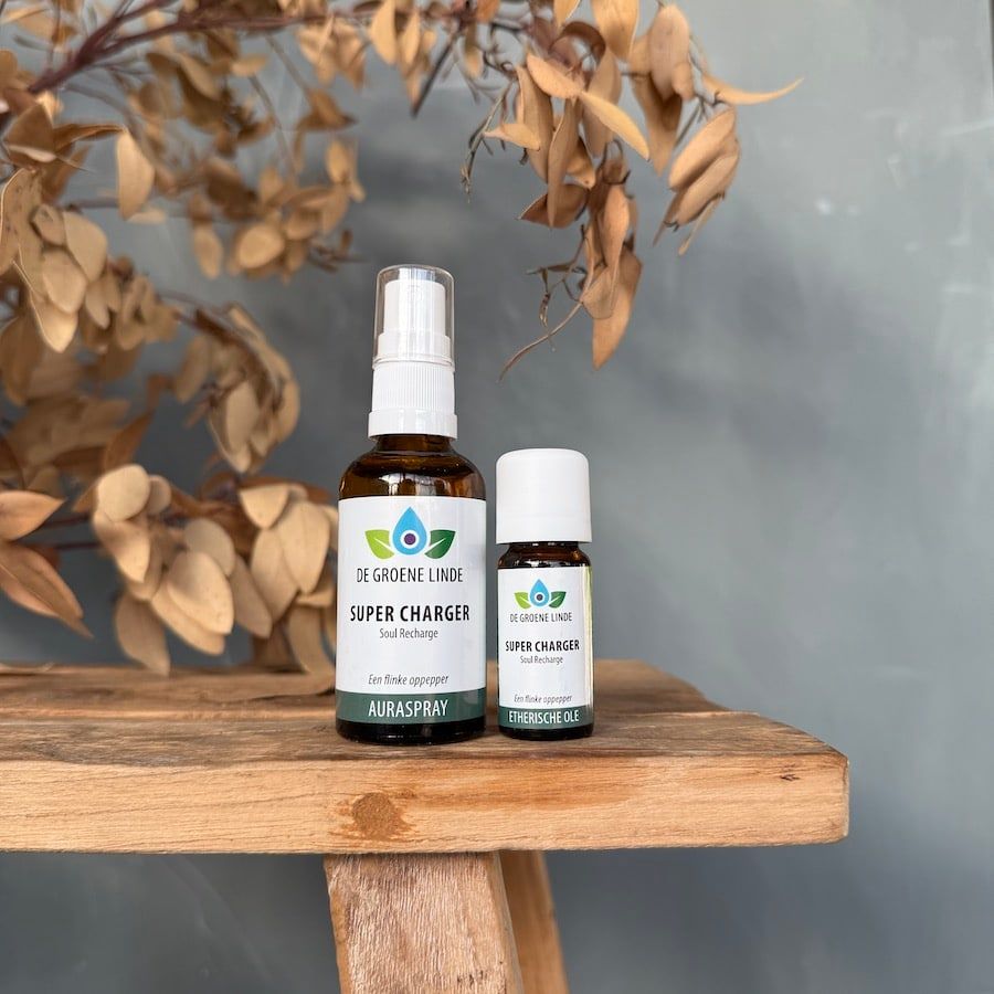 Super Charger, Soul Recharge