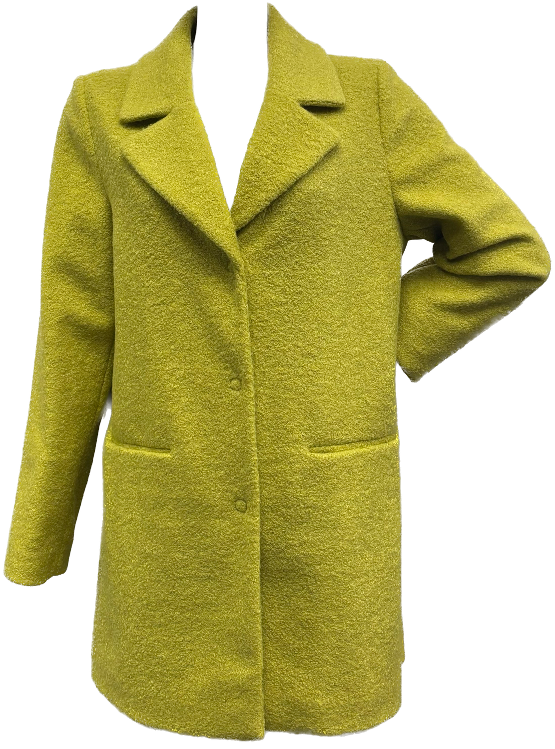 cappotto Carla Ferroni 16630