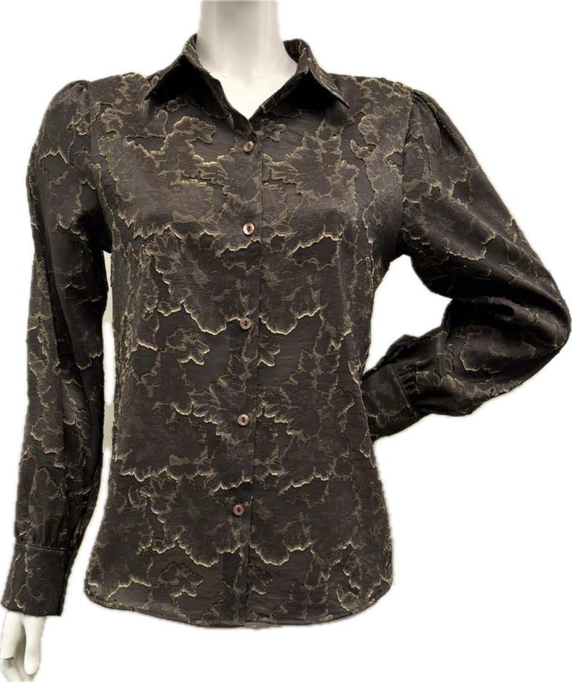 camicia Carla Ferroni 50009