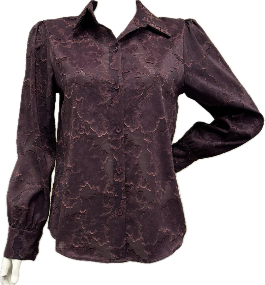 camicia Carla Ferroni 50009