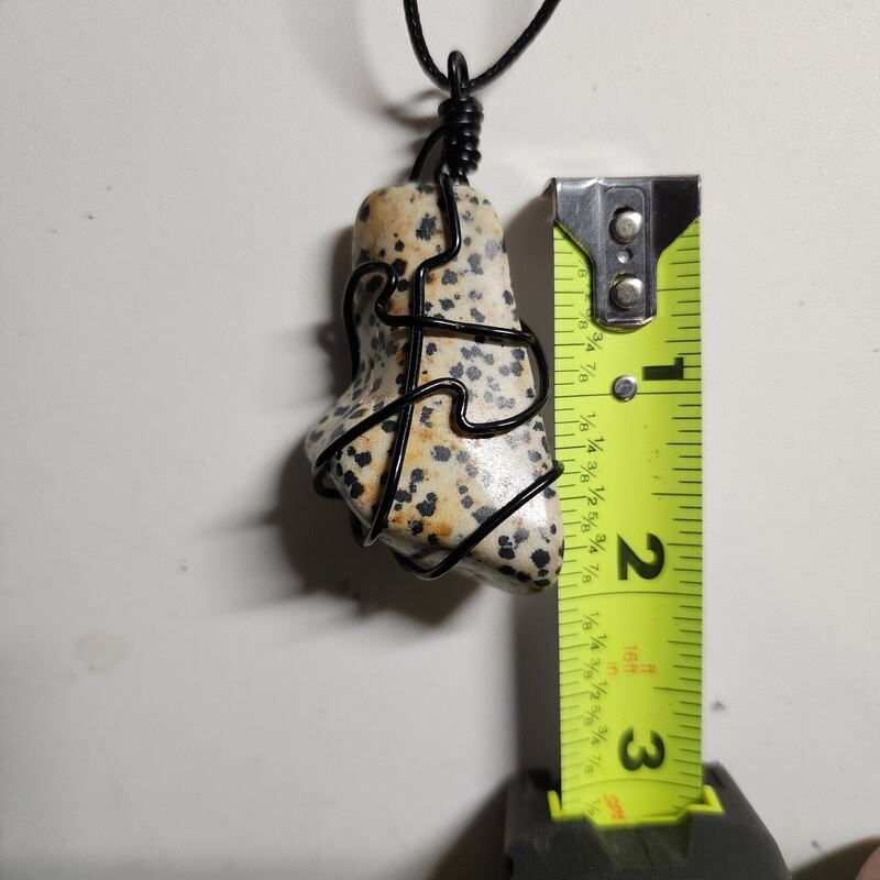 Larger dalmatian jasper
