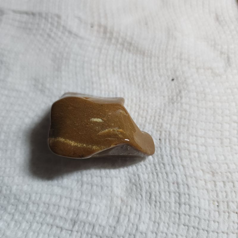 Dessert jasper palm stone