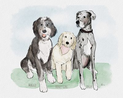 Pet illustration