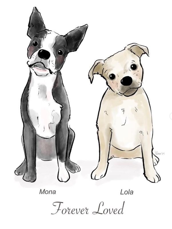 Multiple Pet illustration