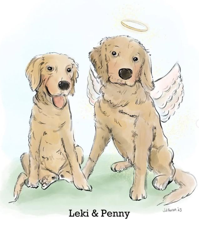 Heavenly Pet Illustration
