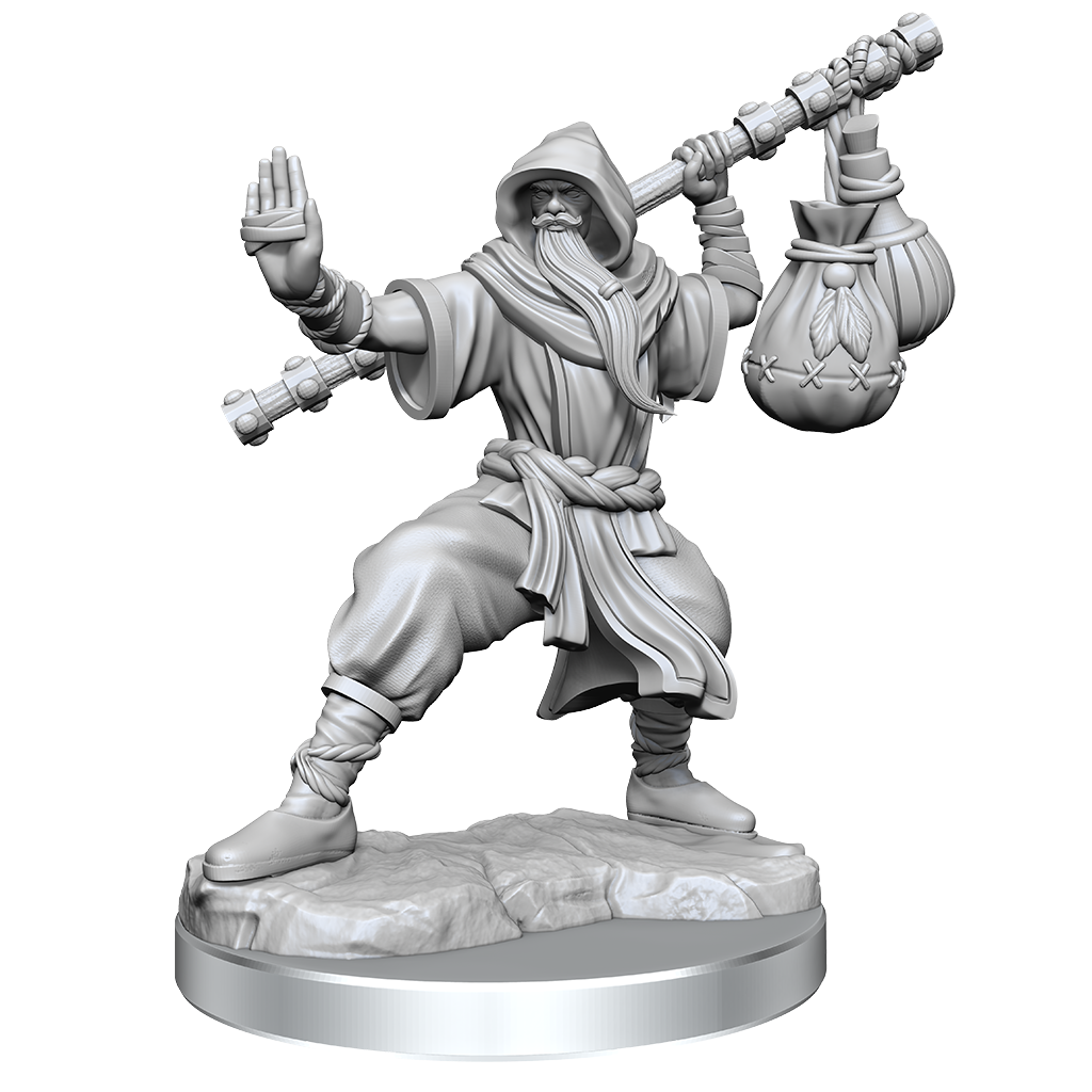 D&amp;D Frameworks Human Monk Male