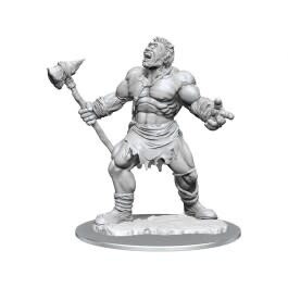 D&amp;D Nolzur&#39;s Marvelous Miniatures: Cyclops W16