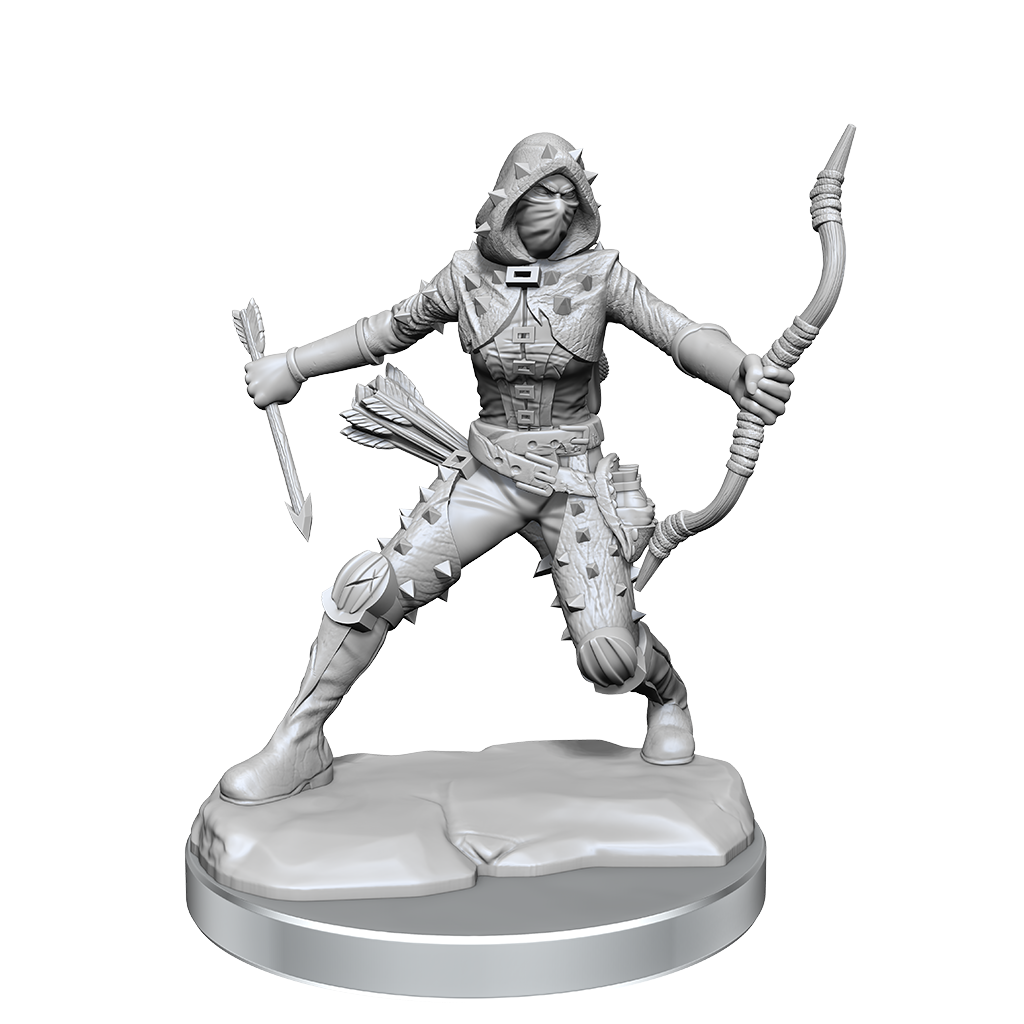 D&amp;D Frameworks Human Rogue Female