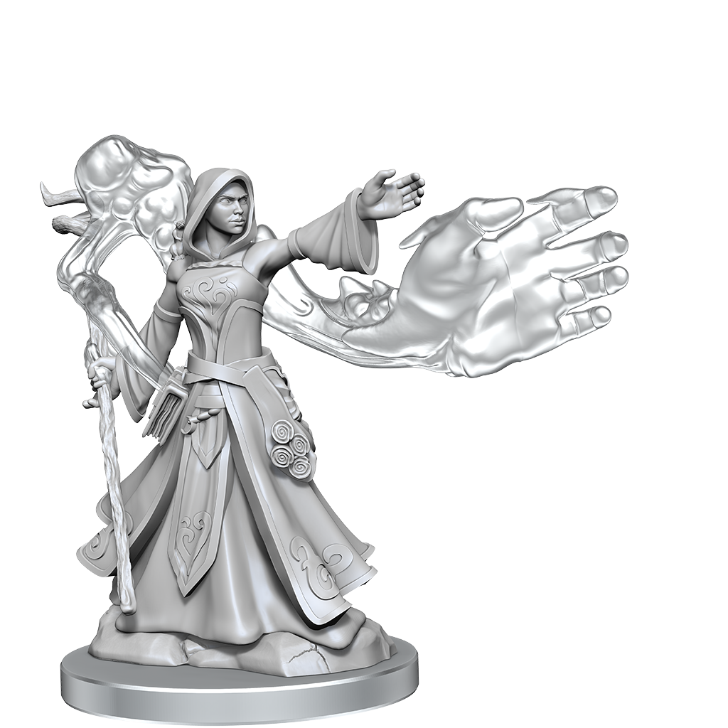 D&amp;D Frameworks Elf Wizard Female
