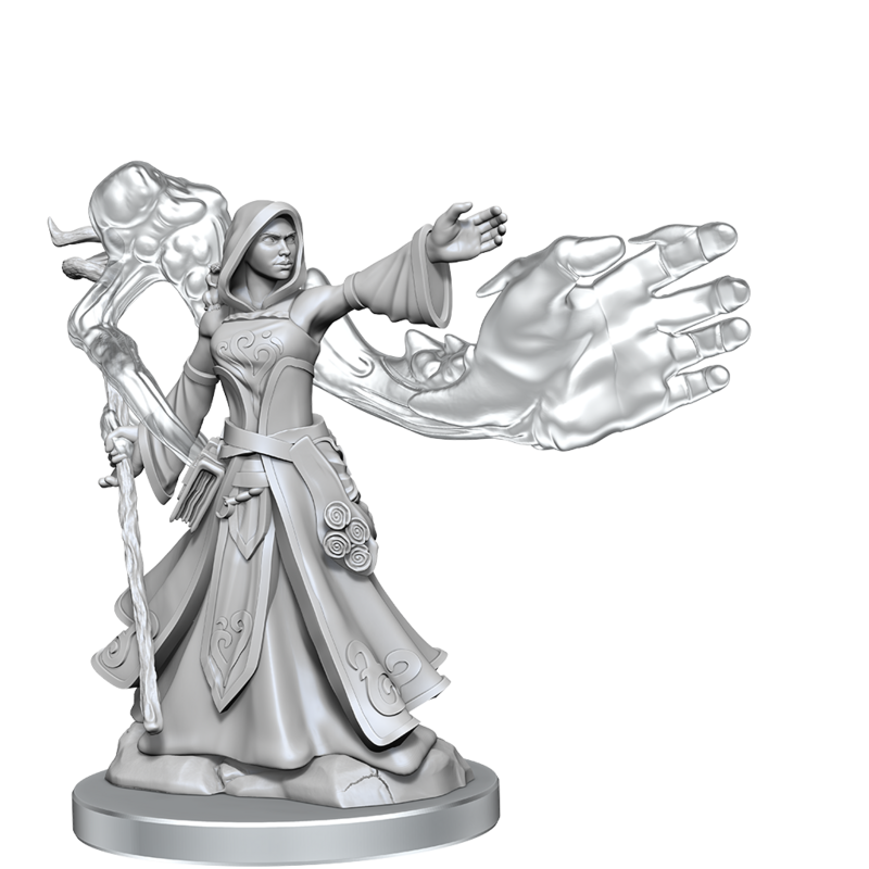 D&amp;D Frameworks Elf Wizard Female