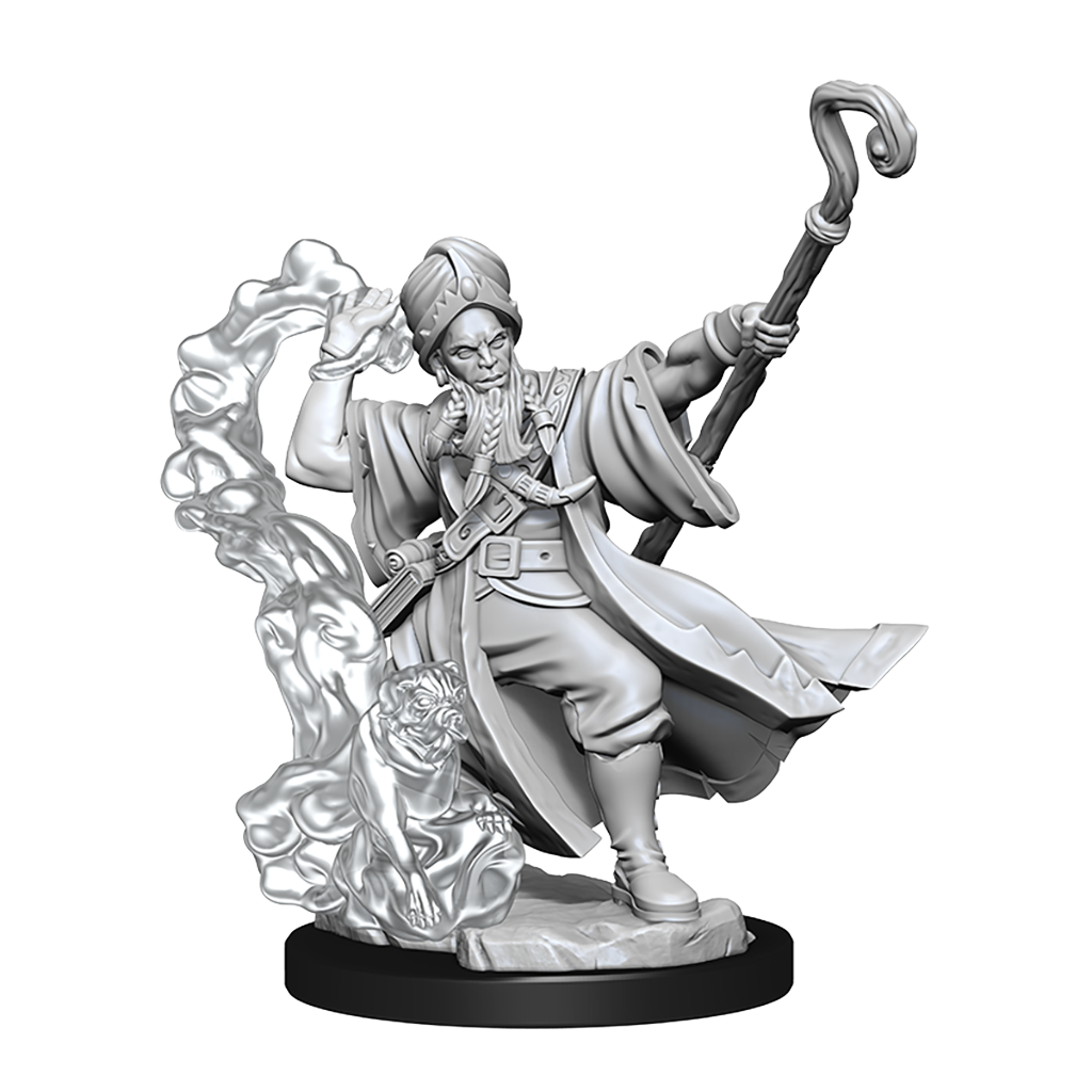 D&amp;D Frameworks Human Wizard Male