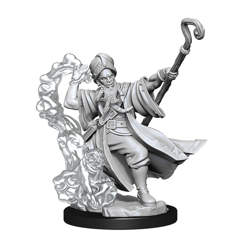 D&amp;D Frameworks Human Wizard Male