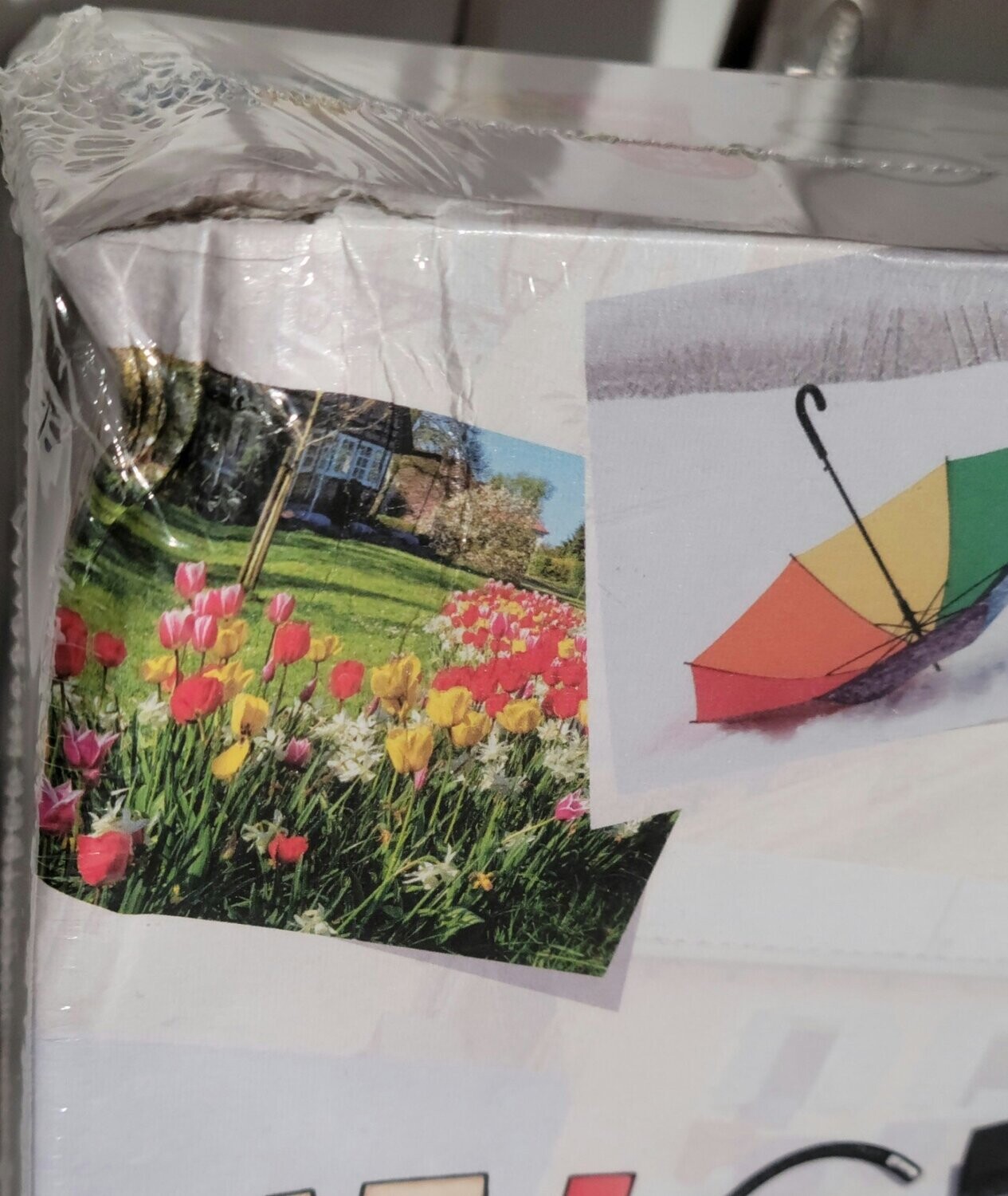 Pictures Board Game ( Damaged Box)