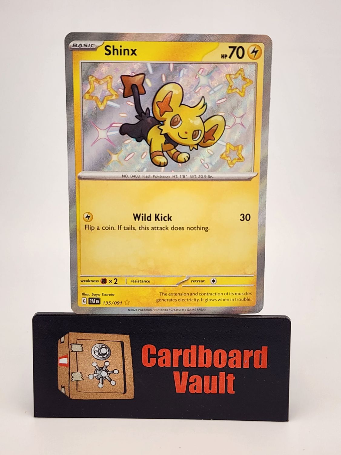 2024 Pokémon Shinx Holo 135/091