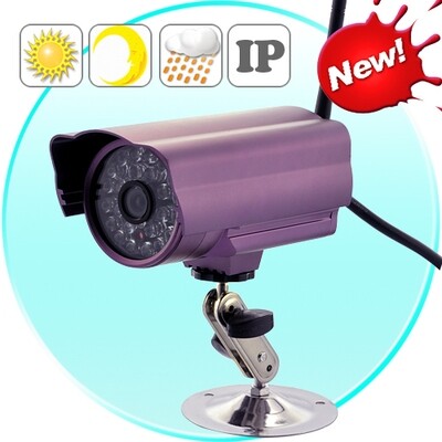 Outdoor IP Camera with microSD Recording (Night Vision, IR Cut-Off Filter, H.264 Compression)