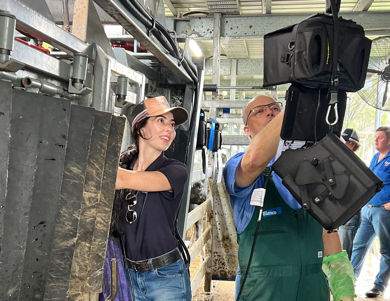 INTERMEDIATE Bovine Ultrasound Online Training Course