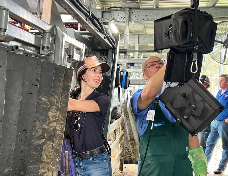 INTERMEDIATE Bovine Ultrasound Online Training Course