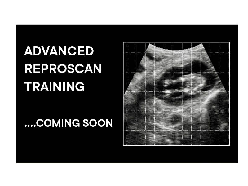 ADVANCED Bovine Ultrasound Online Course