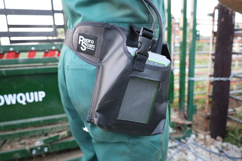 REPROSCAN APEXX WAIST BAG