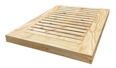 CAMA N.08