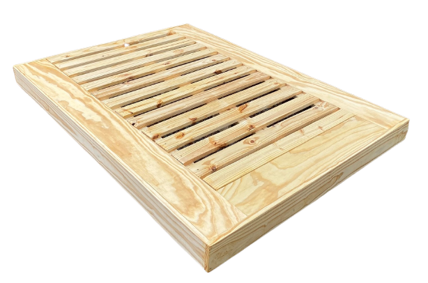 CAMA N.08