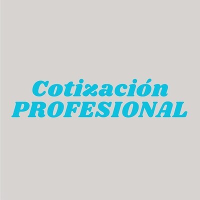 SERVICIO DE COTIZACION PROFESIONAL