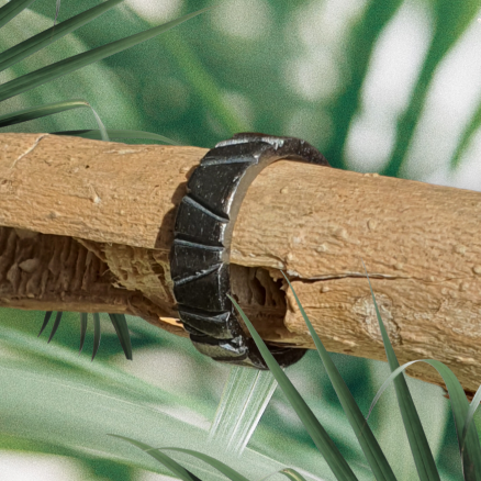 Anillo Románico Negro