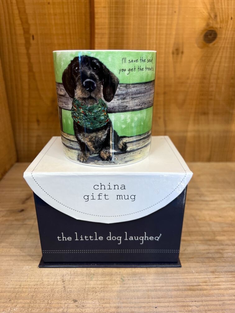 Wirehair Dachsund – China Mug