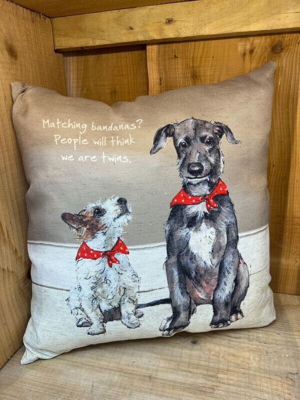 Twins – Cushion