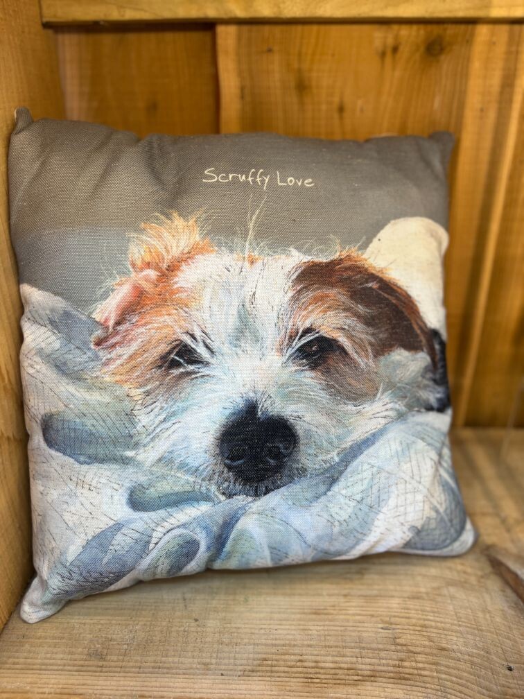 Scruffy Love – Cushion